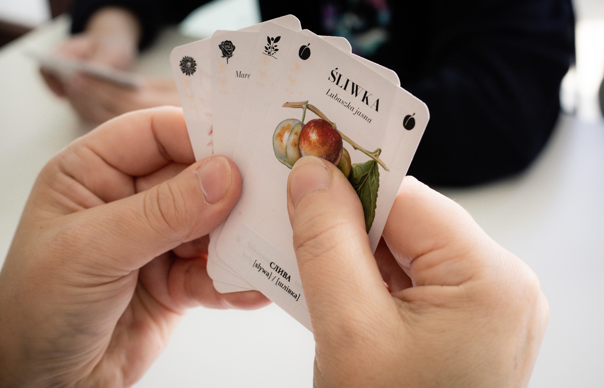 Rodzinna gra karciana „W ogrodzie Marii i Witolda" - obrazek 2