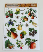 Naklejki z motywami gry „W ogrodzie Marii i Witolda” – owoce