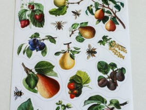 Naklejki z motywami gry „W ogrodzie Marii i Witolda” – owoce